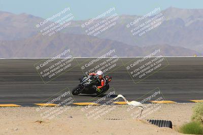 media/Nov-06-2023-Moto Forza (Mon) [[ce023d0744]]/3-Intermediate Group/Session 2 (Bowl)/